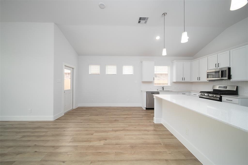 217 Catalina Cove Dr - Photo 4