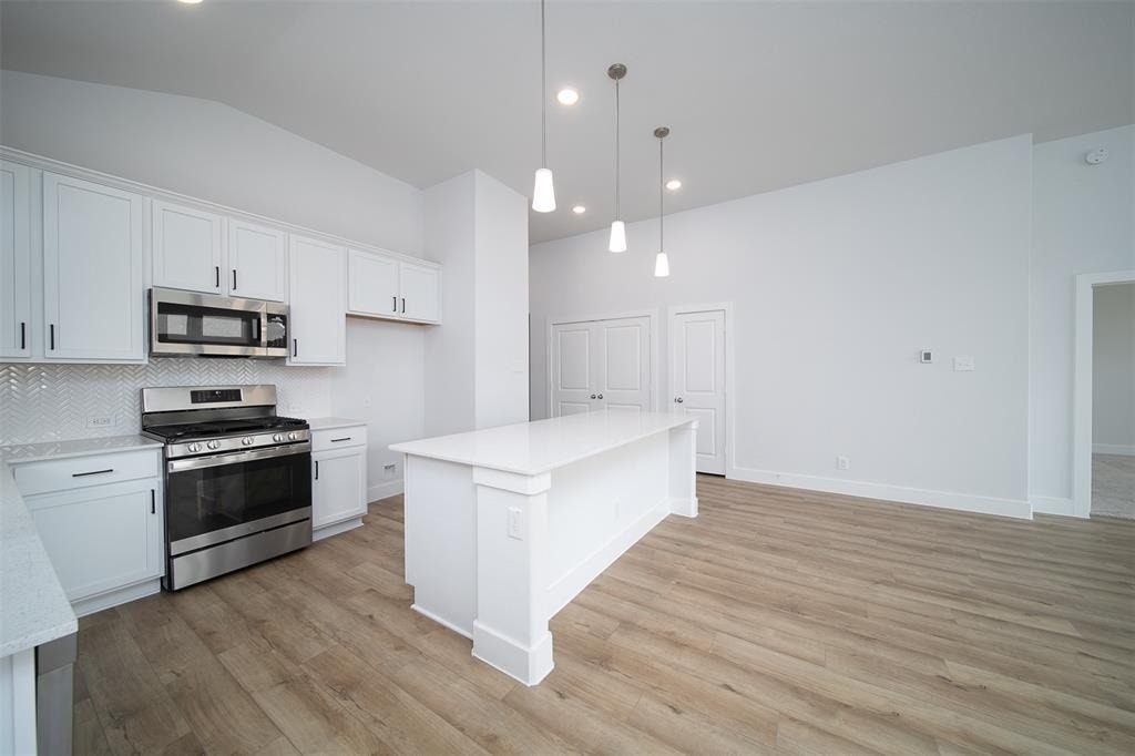 217 Catalina Cove Dr - Photo 3