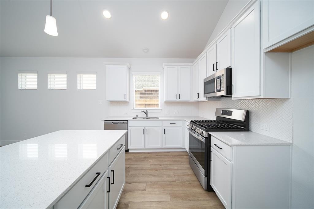 217 Catalina Cove Dr - Photo 2