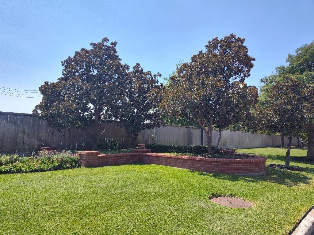 6327 Bonnie Chase Lane - Photo 3