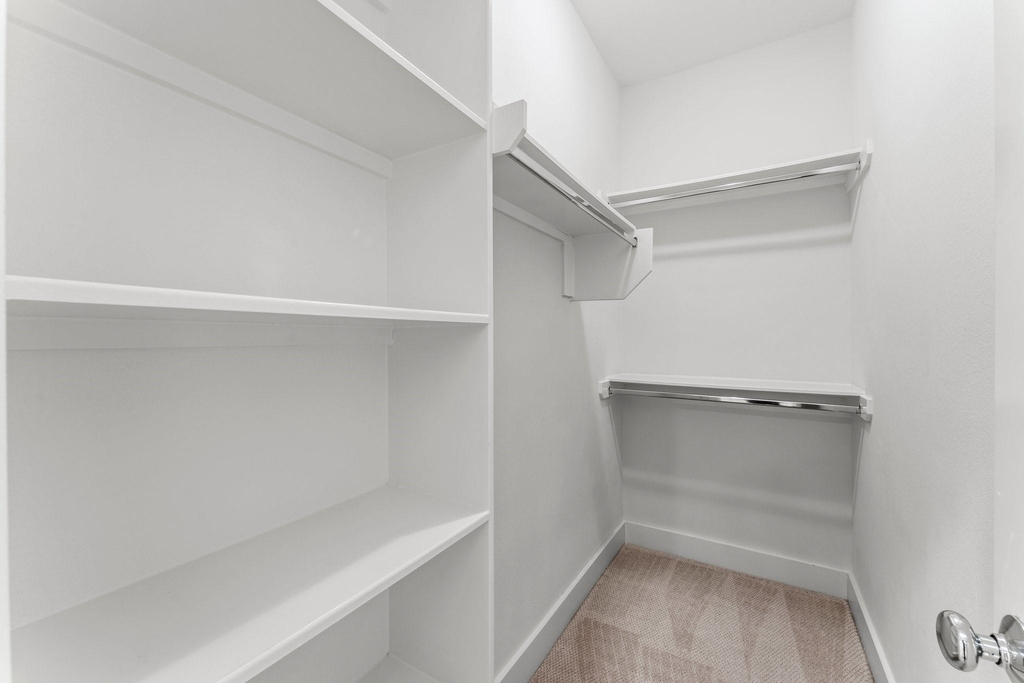 2909 Gillespie Street - Photo 11