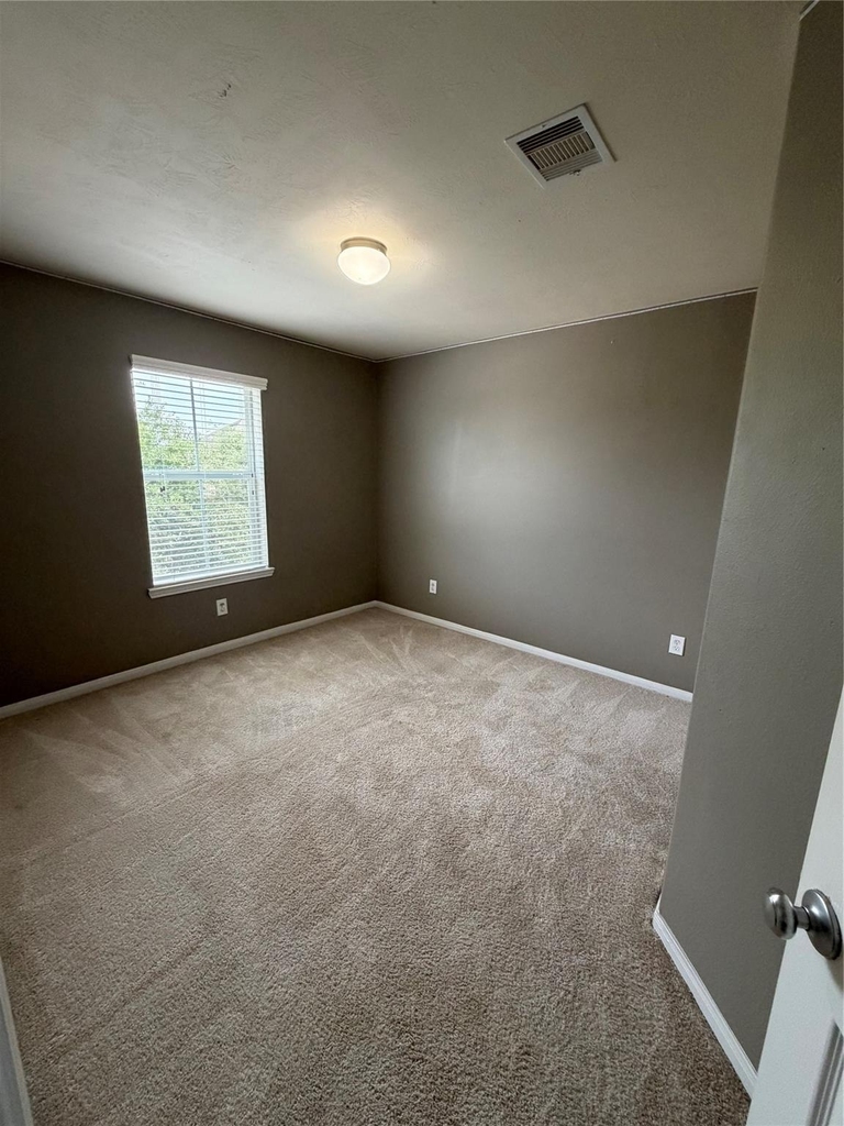 23623 Plantation Pines Lane - Photo 11