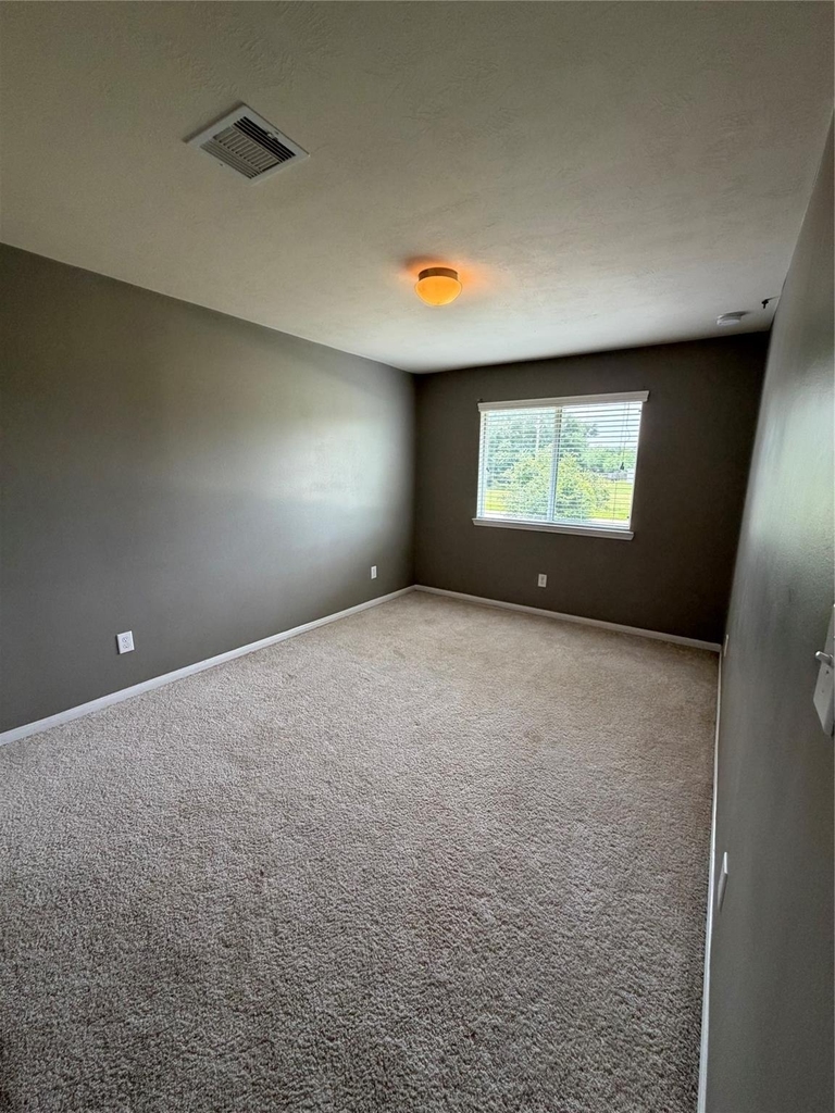 23623 Plantation Pines Lane - Photo 4