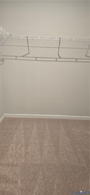 13262 Garland Lane - Photo 13