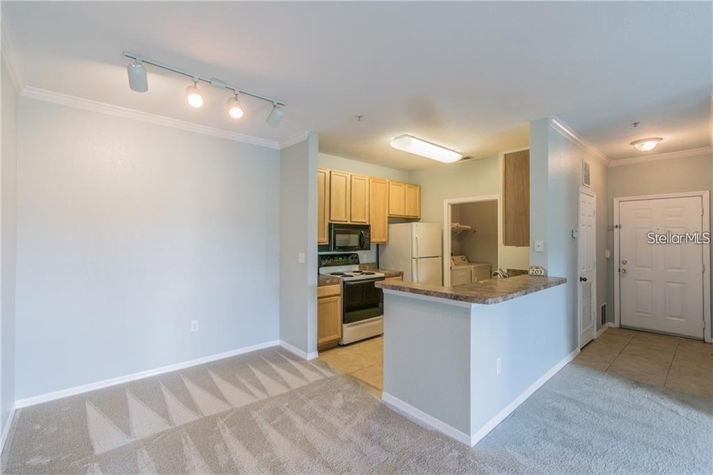 10203 Courtney Palms Boulevard - Photo 7