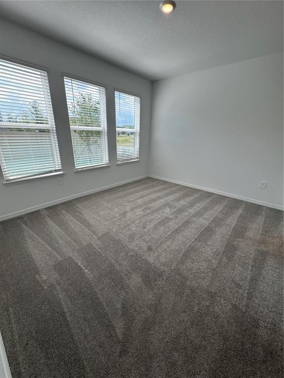 994 Teal Creek Drive - Photo 19