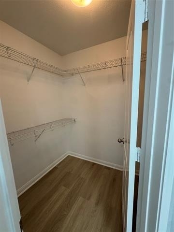 2132 Mulberry Drive - Photo 13