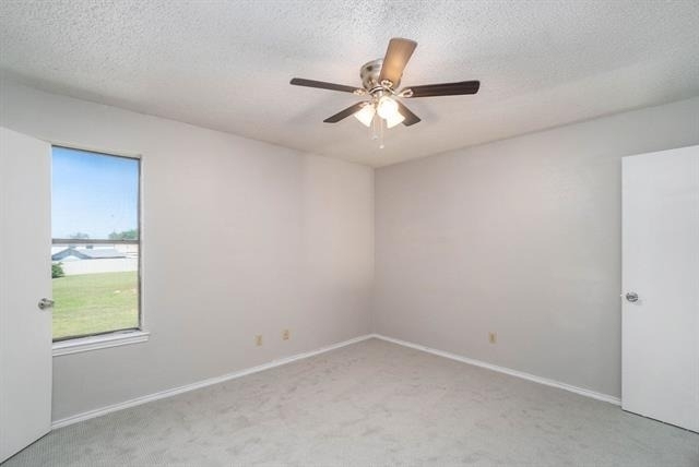 3301 Aurora Street - Photo 19