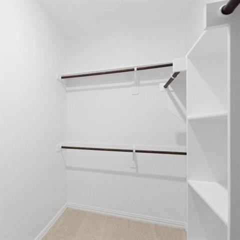 1226 Banyan Drive - Photo 19