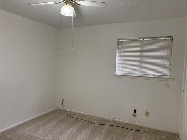 5357 Wonder Drive - Photo 9
