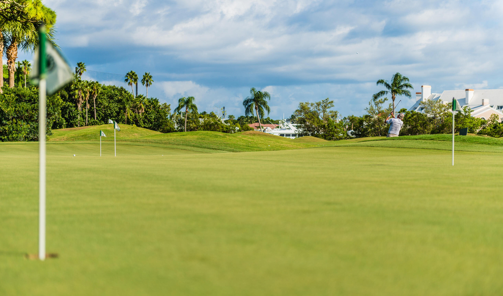 186 Golf Village Boulevard - Photo 87