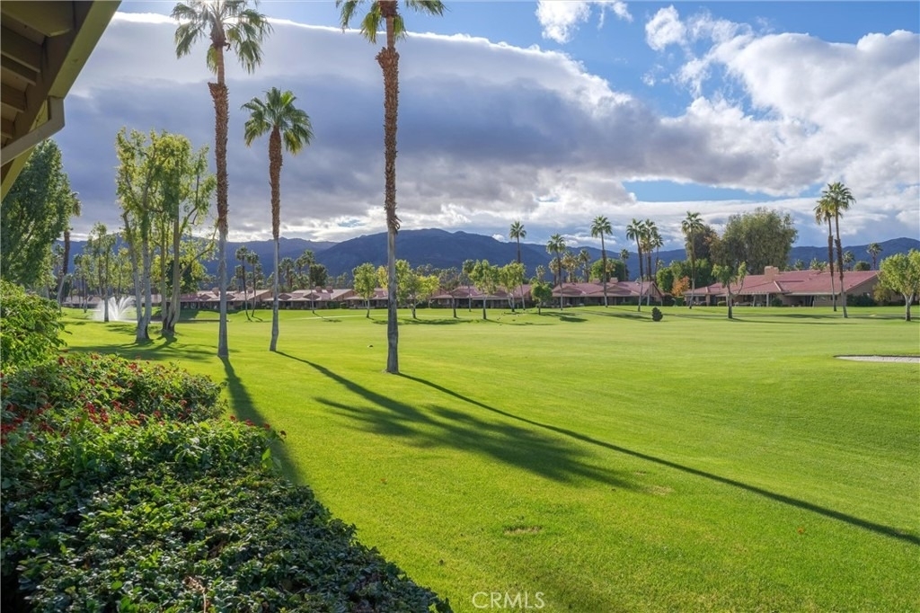 41 Camino Arroyo Place - Photo 1