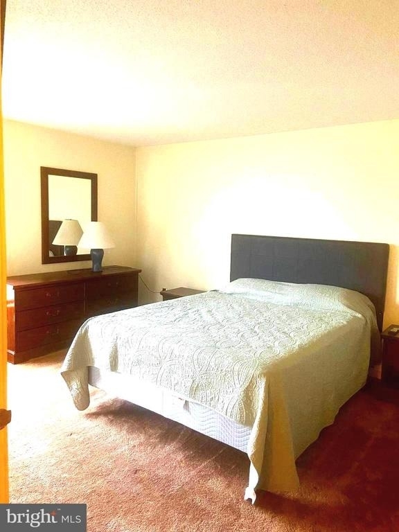 529 King Street - Photo 14