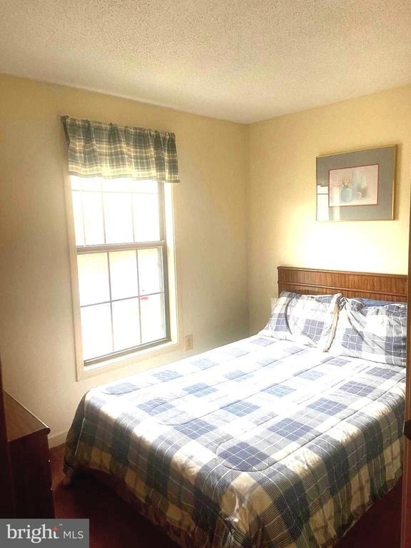 529 King Street - Photo 19