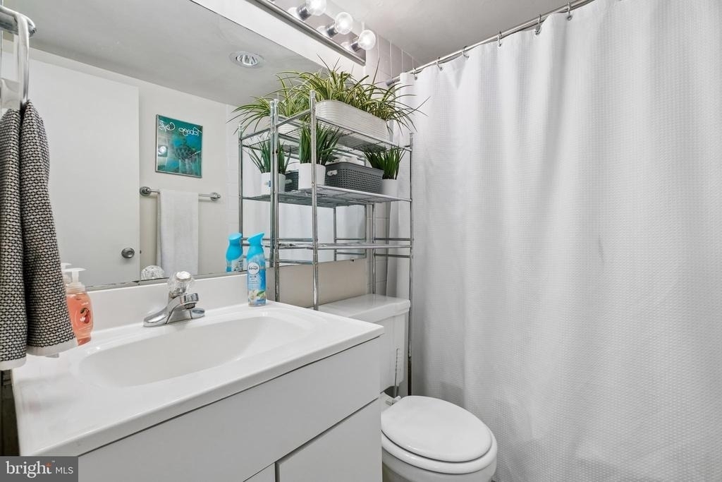 220 Locust Street - Photo 4