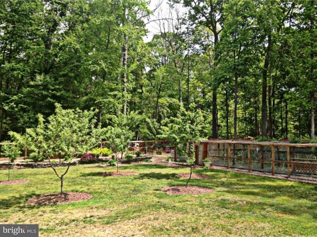 55 Montgomery Street - Photo 25