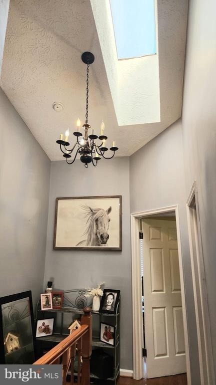 12509 Coral Grove Place - Photo 14