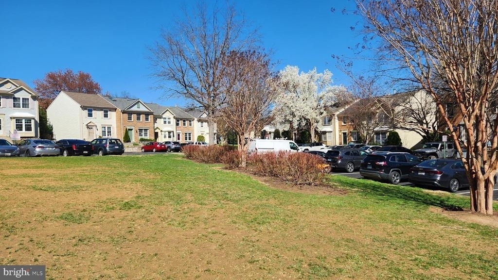 12509 Coral Grove Place - Photo 1