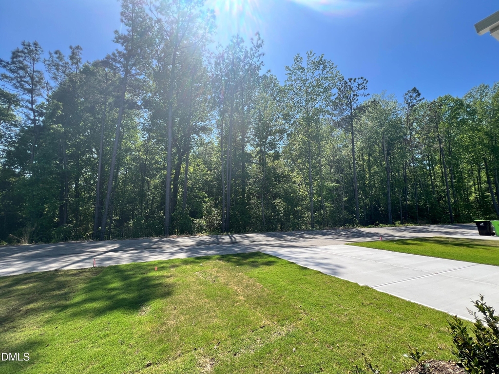 5461 Cayden Cove Drive - Photo 2