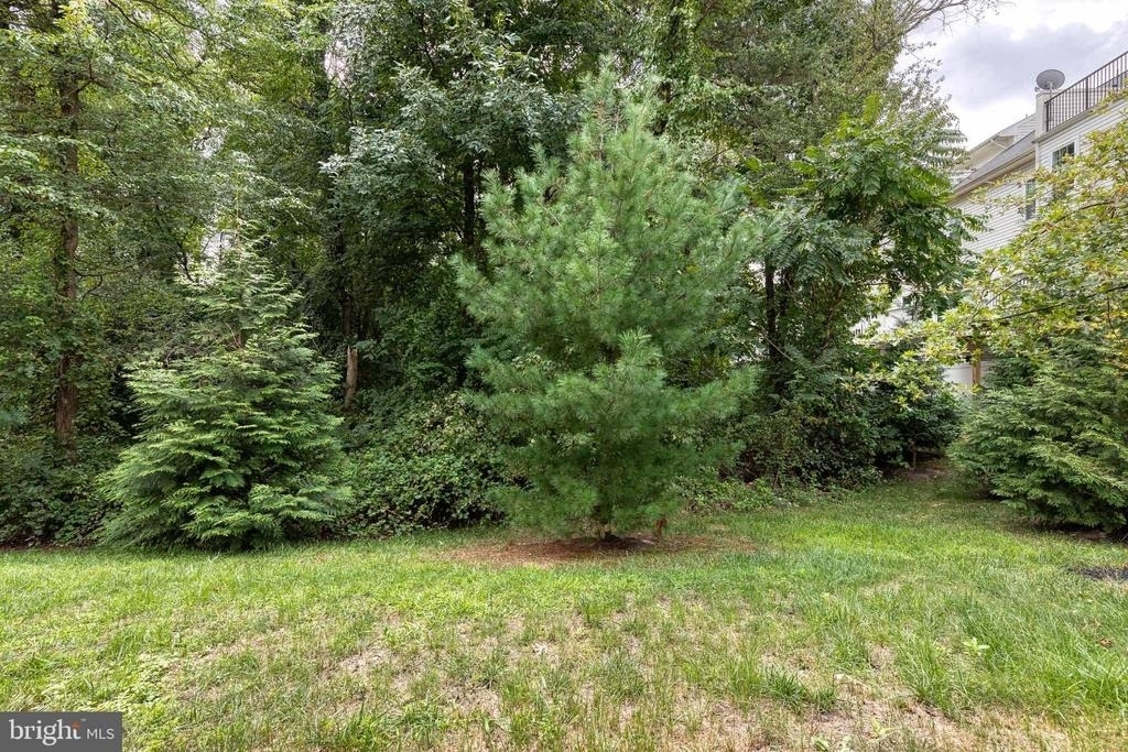 513 Bluffton Drive - Photo 30