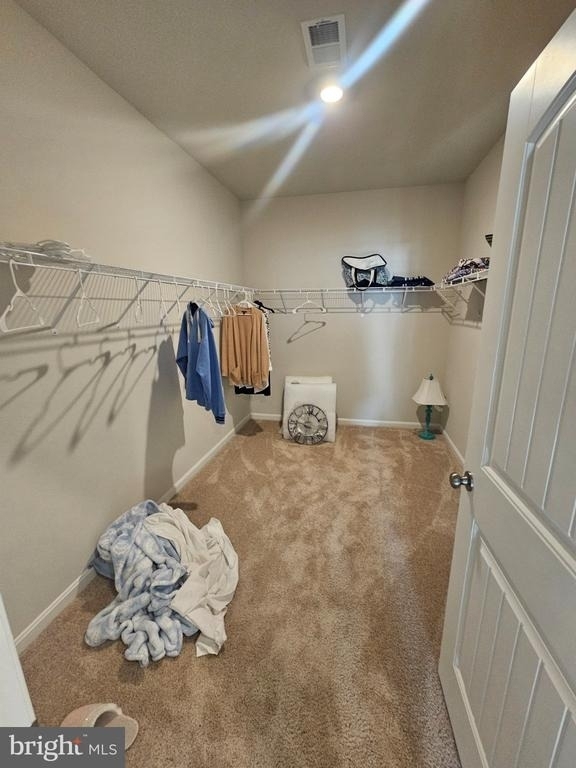 34278 Gooseberry Avenue - Photo 15