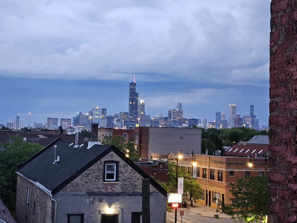 3216 S Morgan Street - Photo 6