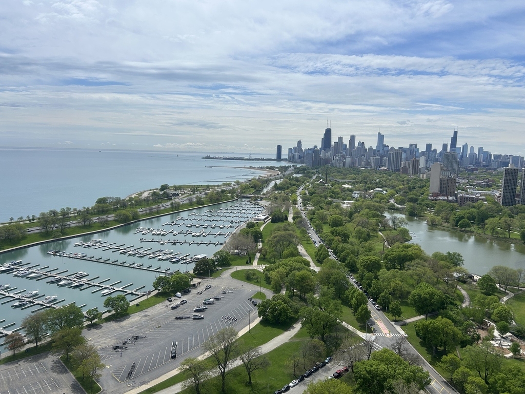 2800 N Lake Shore Drive - Photo 38