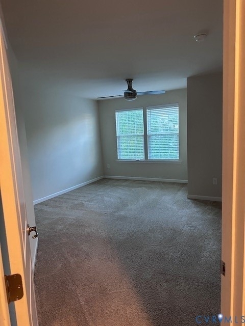 10312 Colony Bee Place - Photo 8