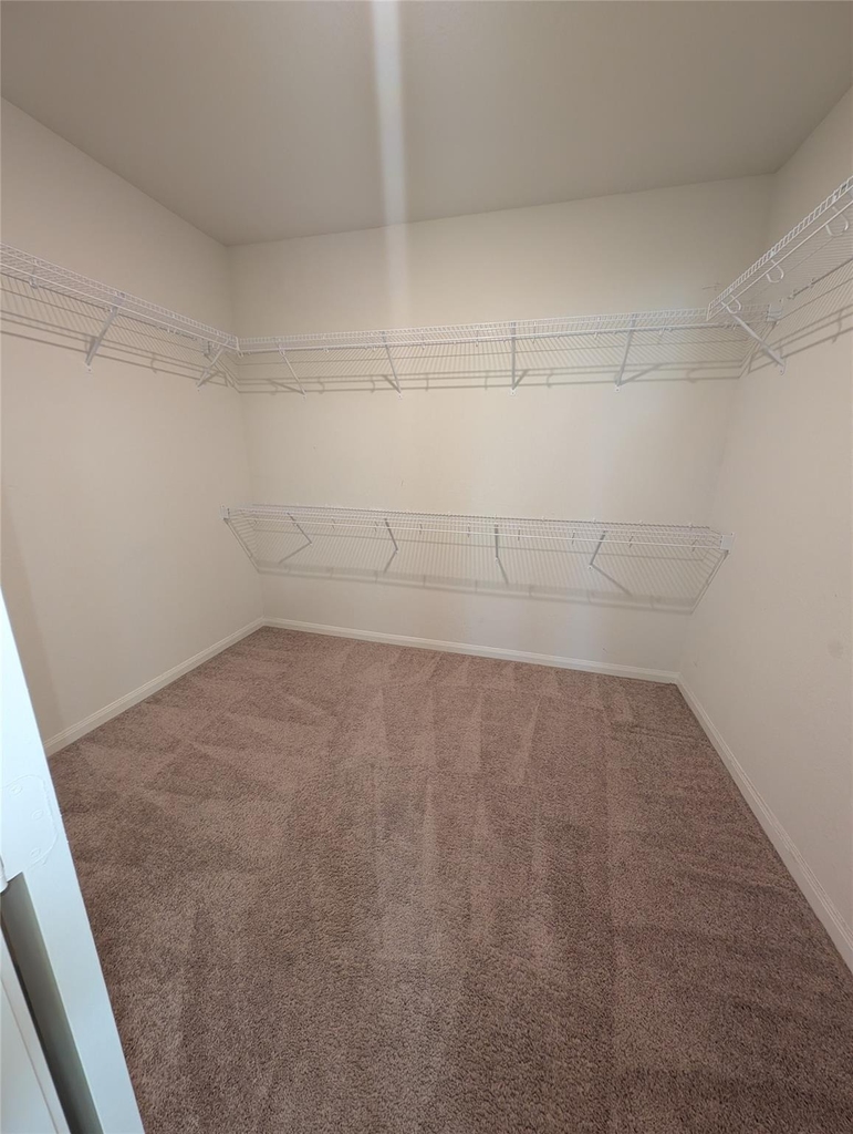 21210 Echo Manor Drive - Photo 10