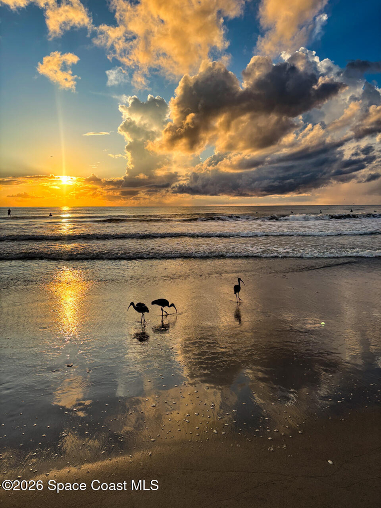 1025 Highway A1a - Photo 70