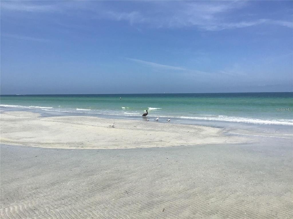 1460 Gulf Boulevard - Photo 37