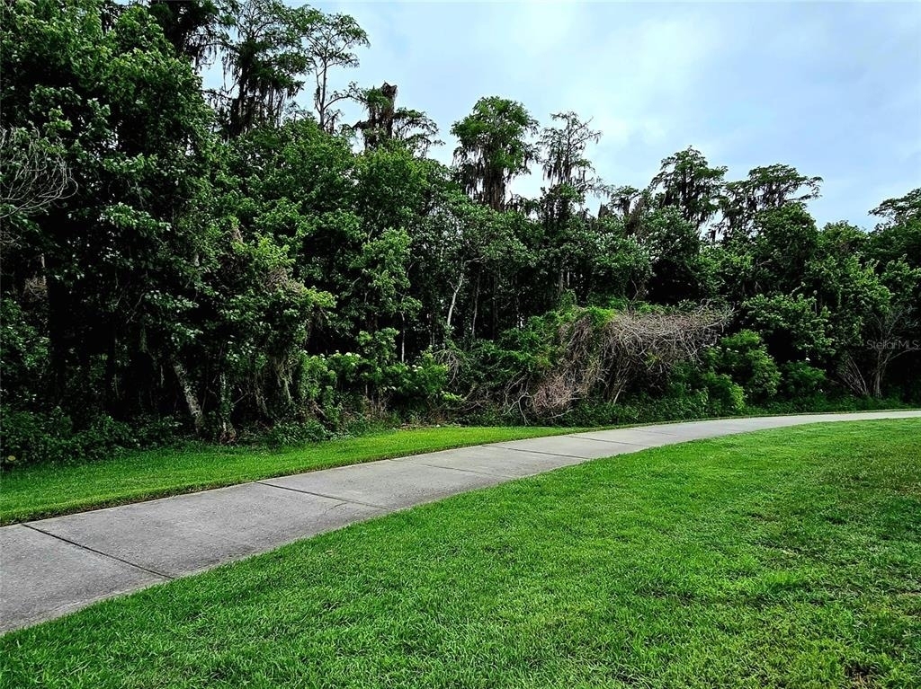 9005 Lee Vista Blvd - Photo 24