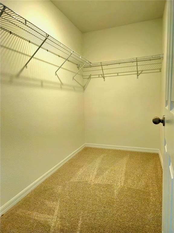 16305 Bird Of Paradise Avenue - Photo 24