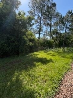 3918 Gaviota Drive - Photo 24
