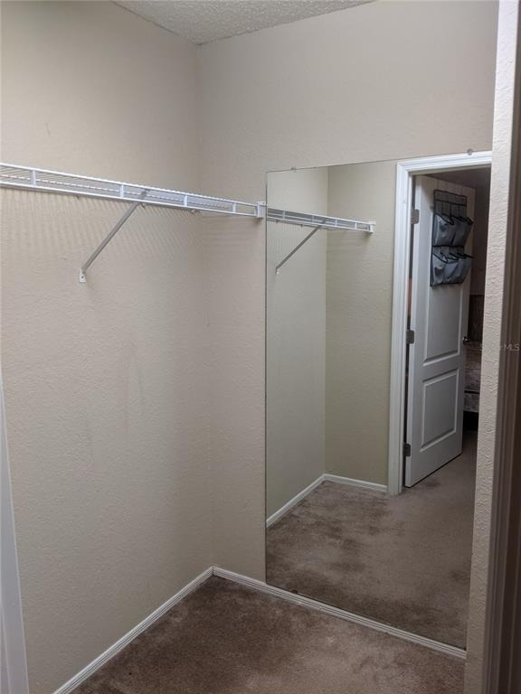 3705 Sw 27th Street - Photo 4