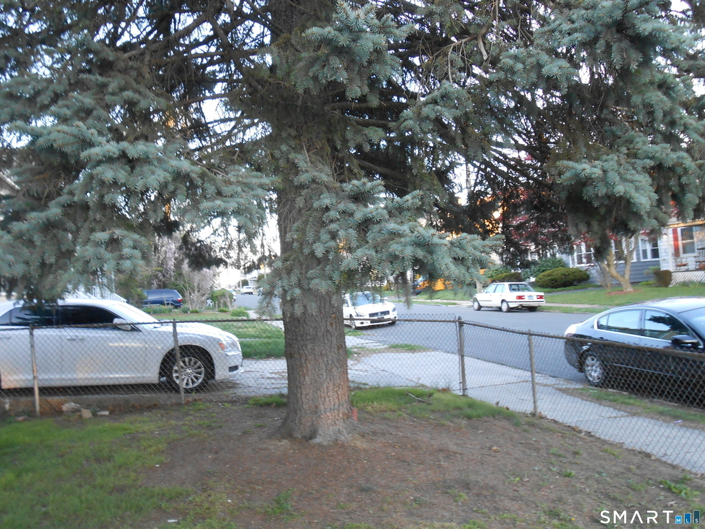254 Wayne Street - Photo 4