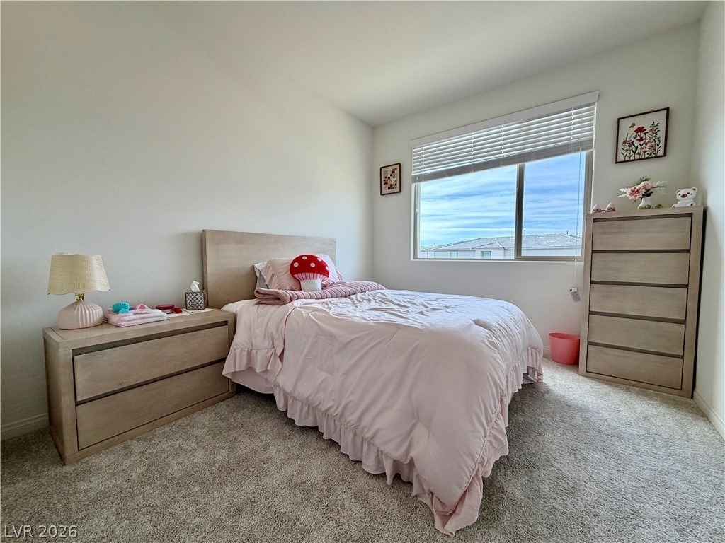 11852 Black Canary Avenue - Photo 14