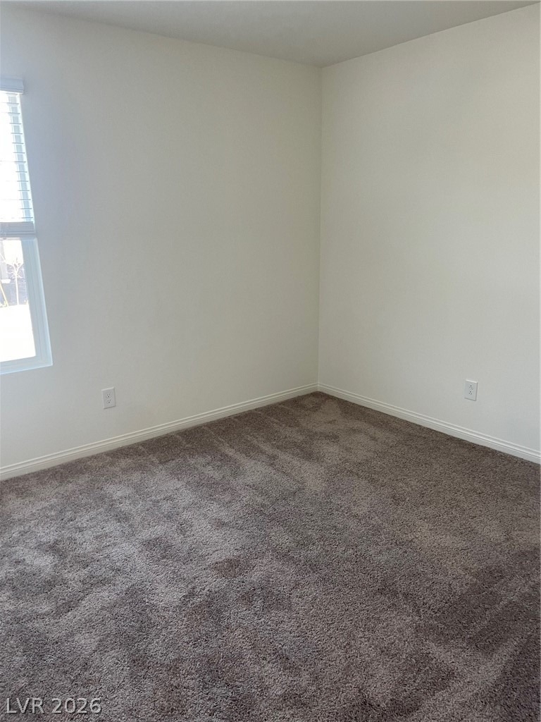 10861 River Junction Avenue - Photo 9