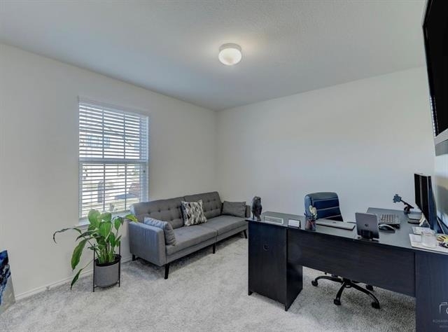 2207 Heaton Street - Photo 21