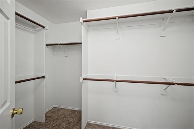 8401 Tribute Lane - Photo 17