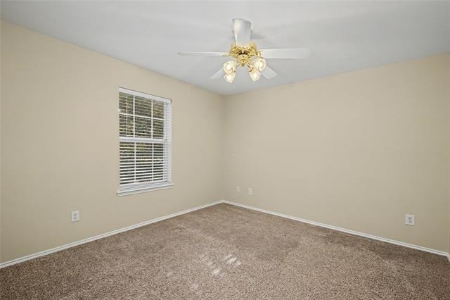 8401 Tribute Lane - Photo 19