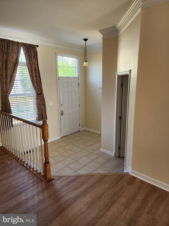 119 Misty Pond Terrace - Photo 1
