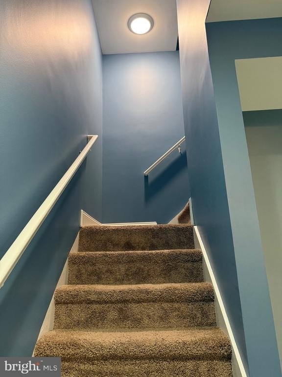 123 Cameron Street - Photo 67