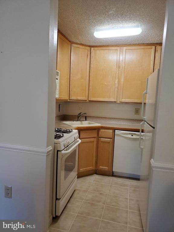 1225 Martha Custis Drive - Photo 4