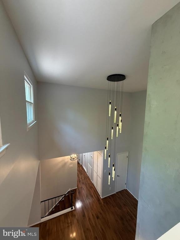 46 Woodbine Court - Photo 11