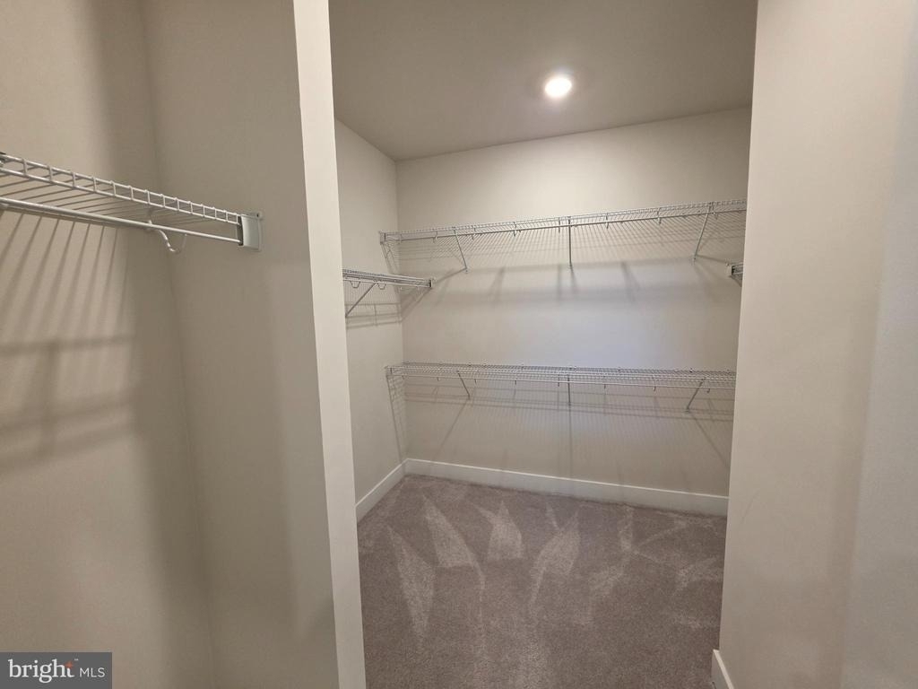29078 Frenchman Bay Drive - Photo 17