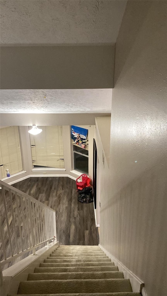 11818 Plumbrook Drive - Photo 6