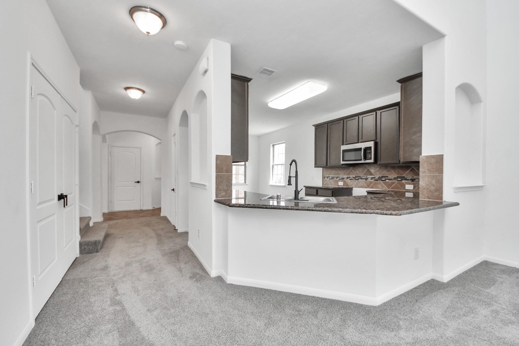 10606 Sun River Falls Drive - Photo 12