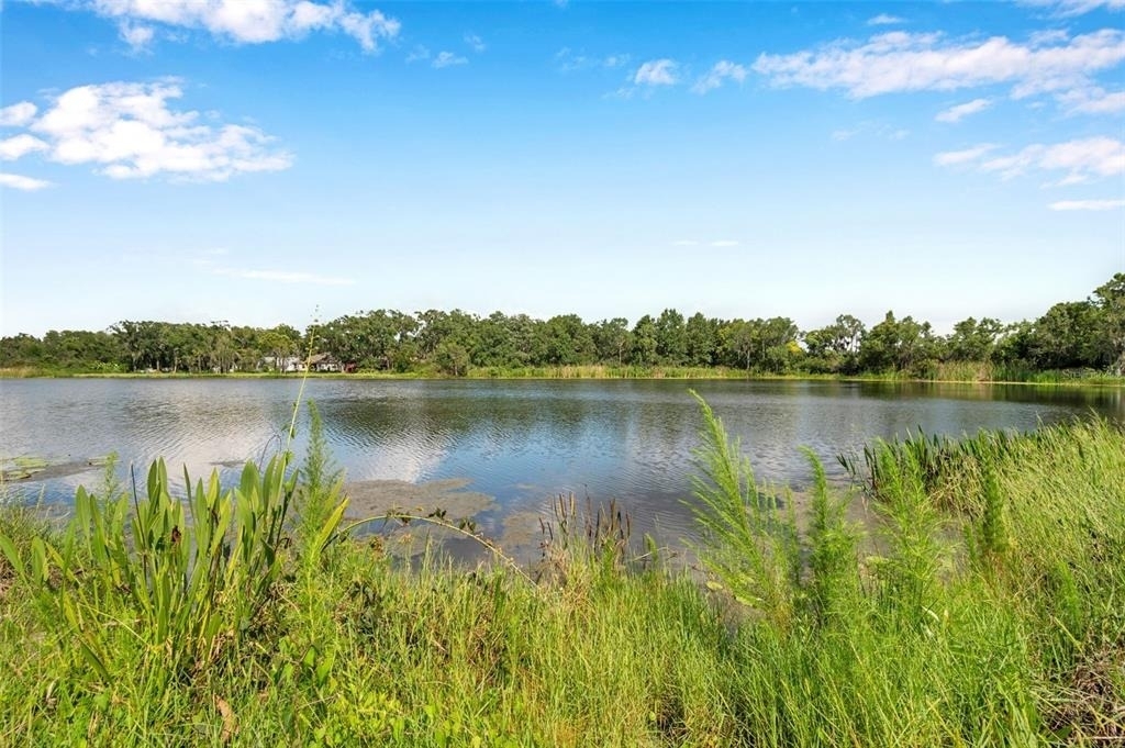4812 Walnut Ridge Road - Photo 1
