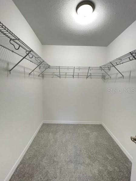 13669 Sw 113th Place - Photo 17